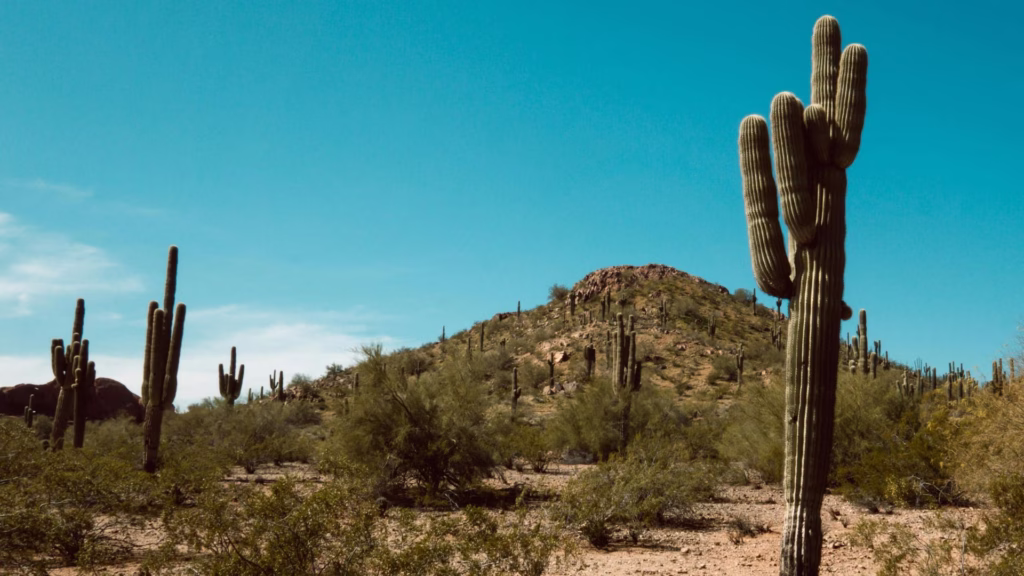 The Ultimate 5 Day Arizona Road Trip Itinerary phoenix arizona