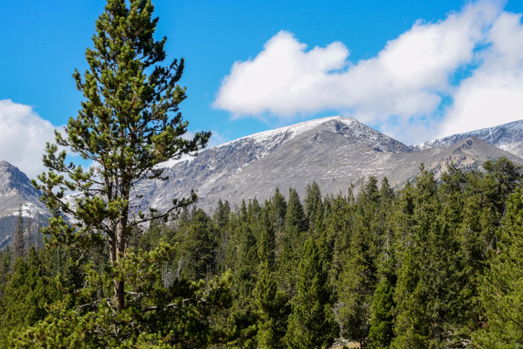 Estes Park