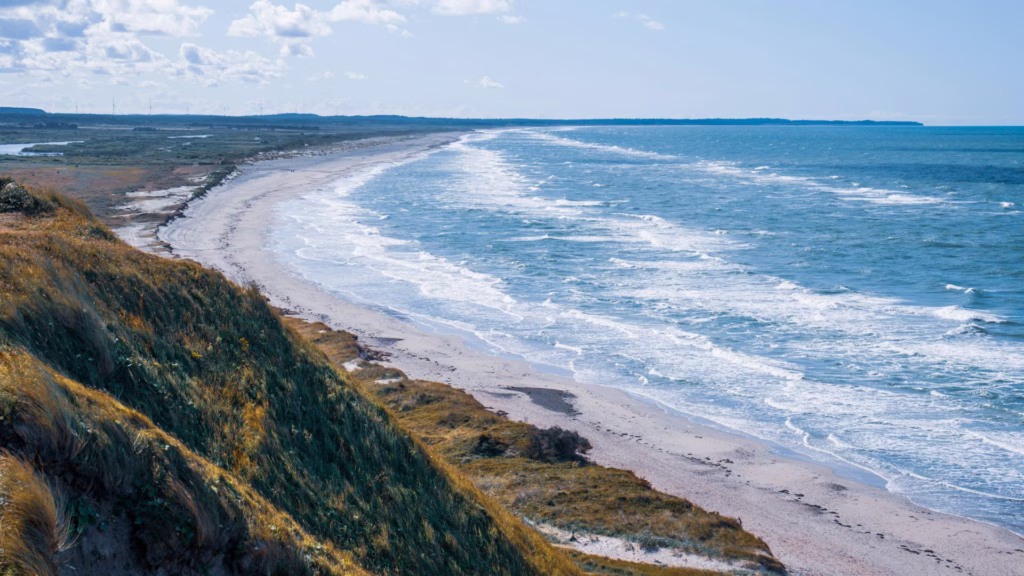 Thy national park coastal landscape